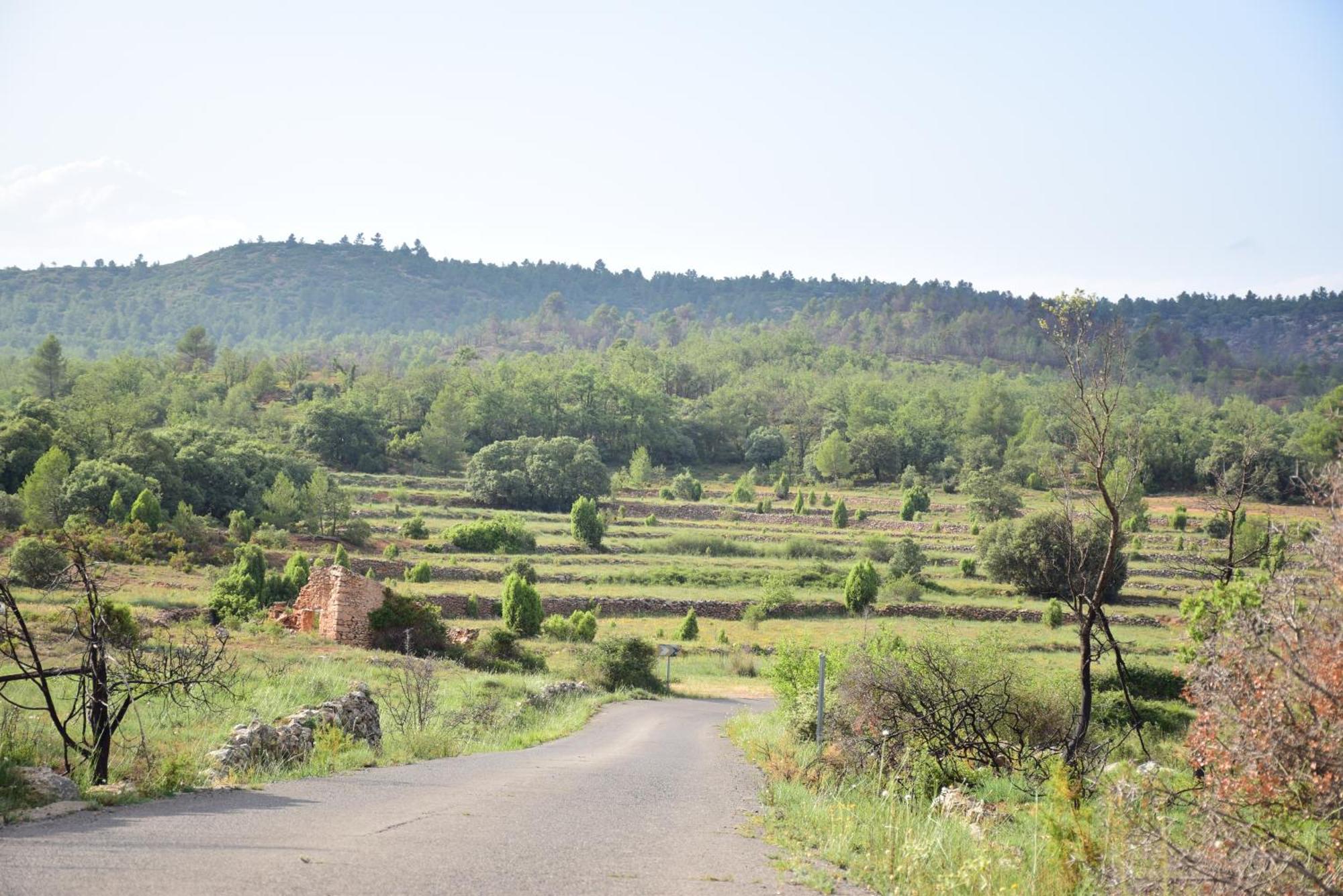 Los PastoresOasis Rural别墅 外观 照片