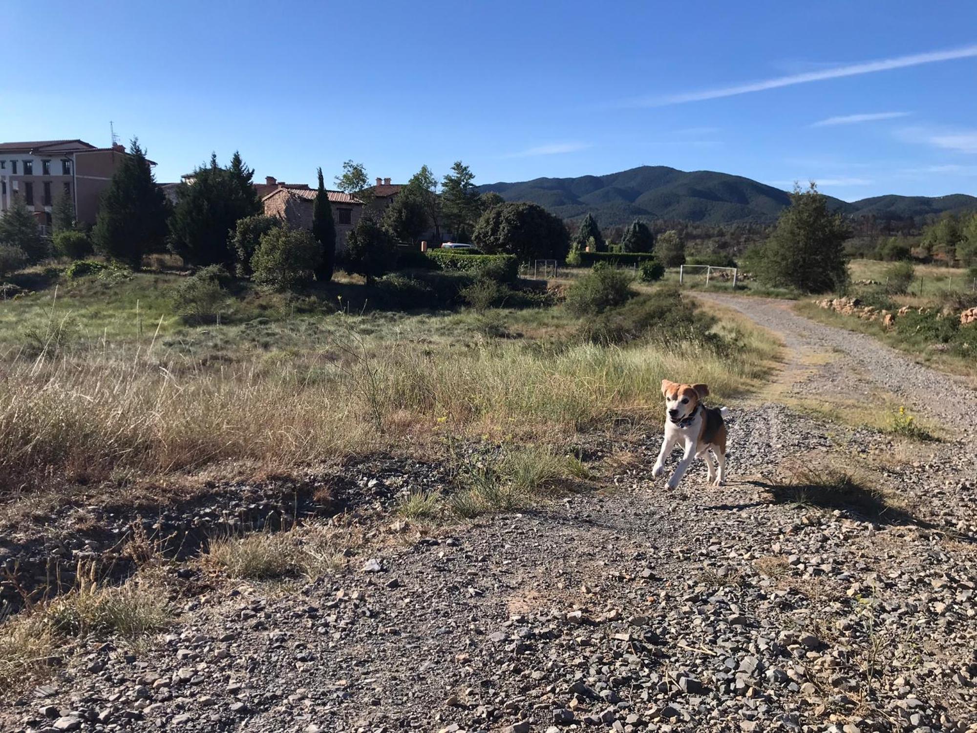 Los PastoresOasis Rural别墅 外观 照片